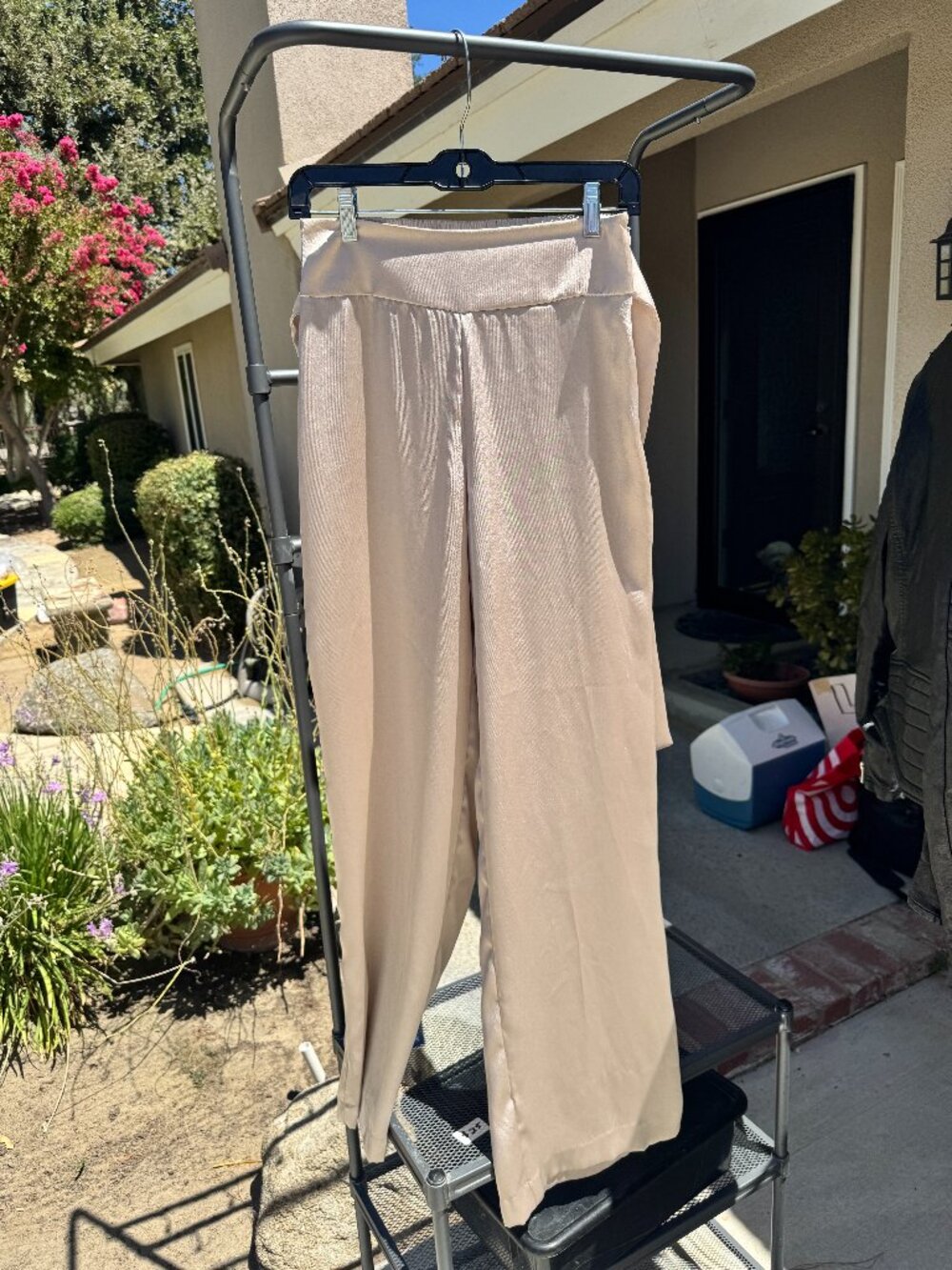 Express Wide Leg High Waist Pants Blush Cream Size X-Small